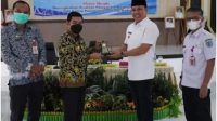 Hendra 14