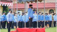 Apel
