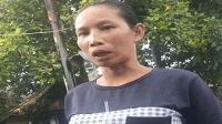 Dewi