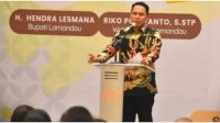 LAMANDAU 12