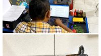 PELAKU PENGANCAMAN