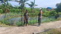 IMG-20250409-WA0017