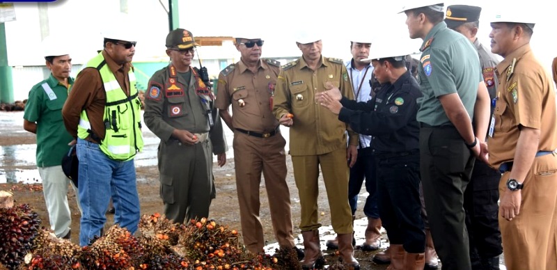 TINJAU OPRASIONAL PABRIK SAWIT PT PSP