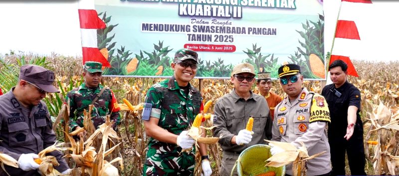PJ BUPATI PANEN JAGUNG..