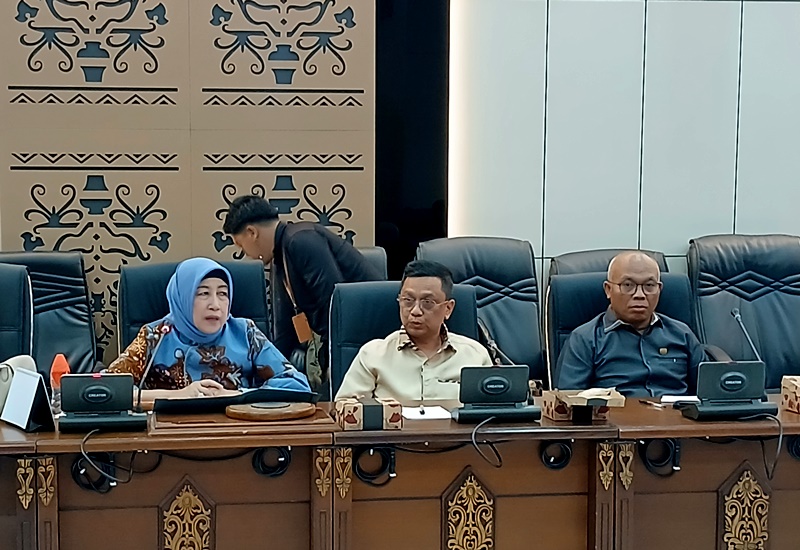 KETUA FRAKSI PDI PERJUANGAN