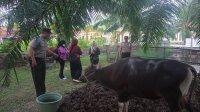 IMG-20260526-WA0046
