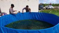 IMG-20260623-WA0034