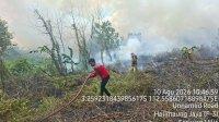 IMG-20260810-WA0032